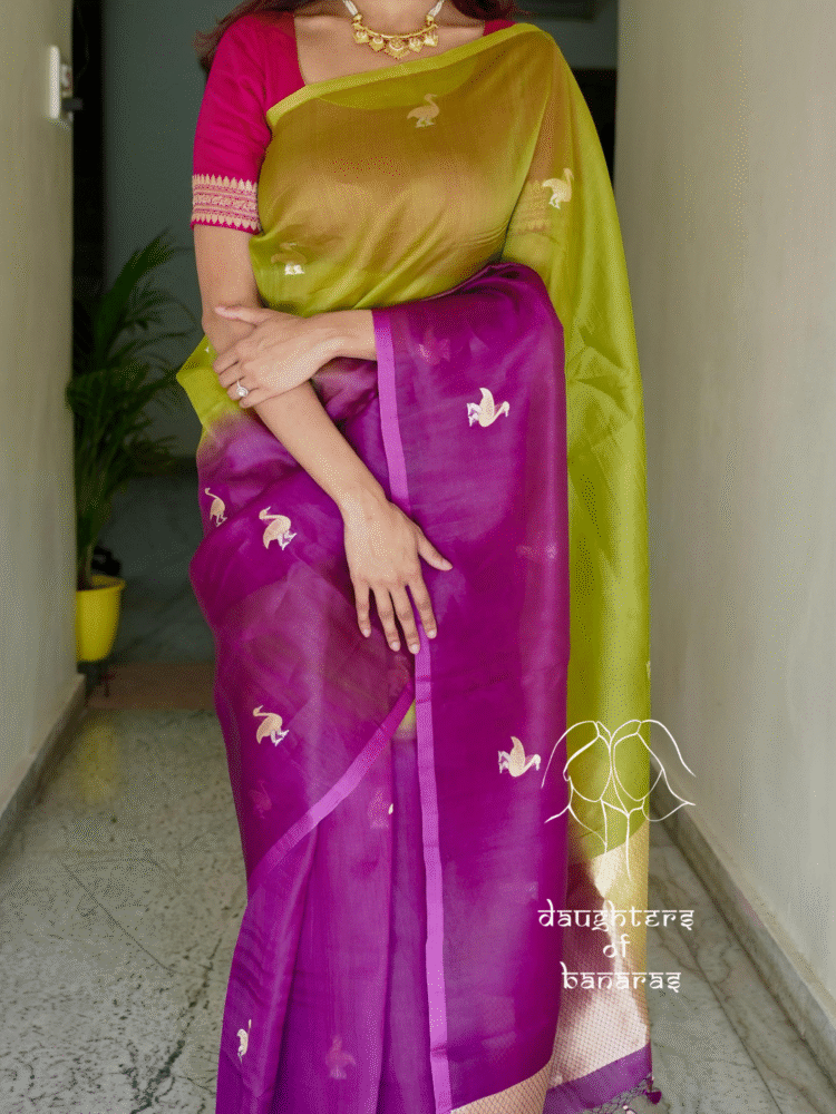 Custom Pure Kora Silk Swan Kadhuva Saree in Dual Tone - Image 2